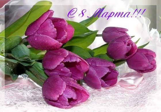 Поздравляем с 8 марта